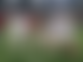 Alanyaspor - Galatasaray: 1-4