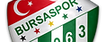 Bursaspor Logo