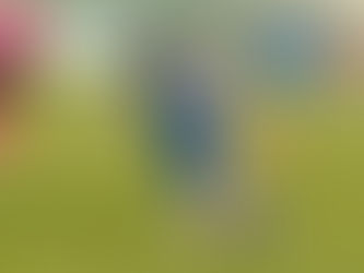 Ankaraspor - 24 Erzincanspor: 1-2