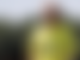 Jorge Jesus'un Fenerbahçe Karnesi