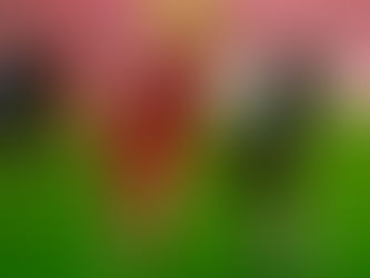 Hatayspor - Gaziantep FK: 0-0