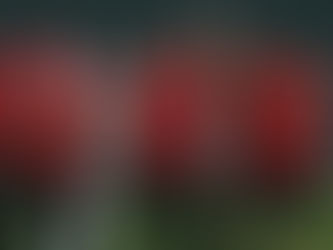 Hazırlık Maçı | Gençlerbirliği - Dinamo Bükreş: 1-1