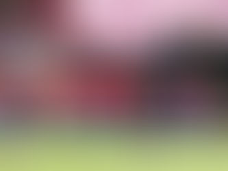 Pendikspor - Sivasspor: 2-3