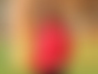 Mustafa Kaplan: ''Belirli Mevkilere Takviyeler Yaparsak...''