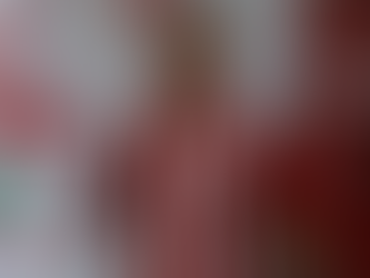 Boluspor Yeni Sezon Transferlerine Gökhan Alsan İle Başladı