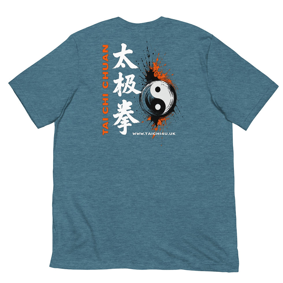 Thumbnail: Tai Chi t-shirt Caligraphy Splash