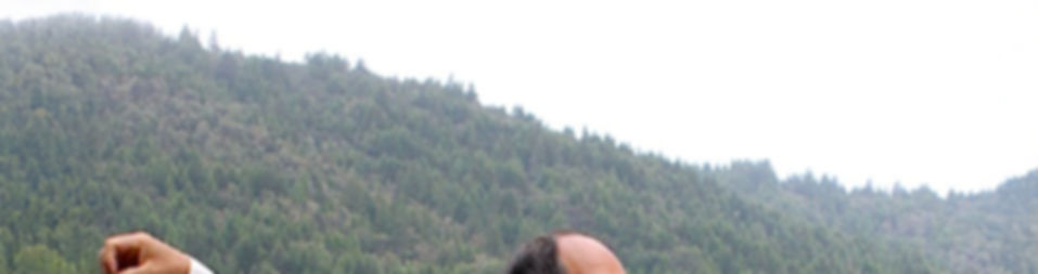 Dr. Yang, Jwing-Ming Single Whip Tai Chi.jpg