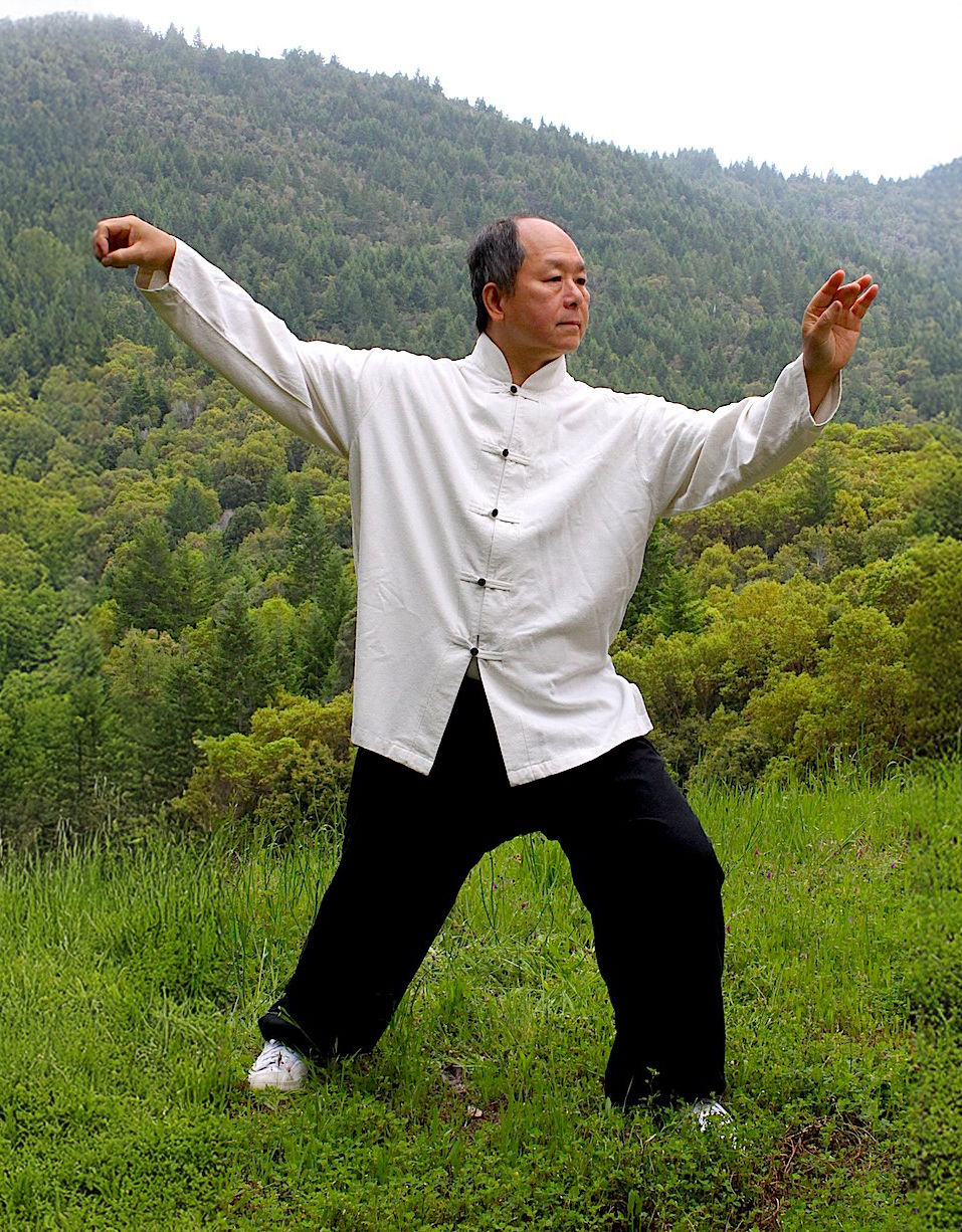 Dr. Yang, Jwing-Ming Single Whip Tai Chi