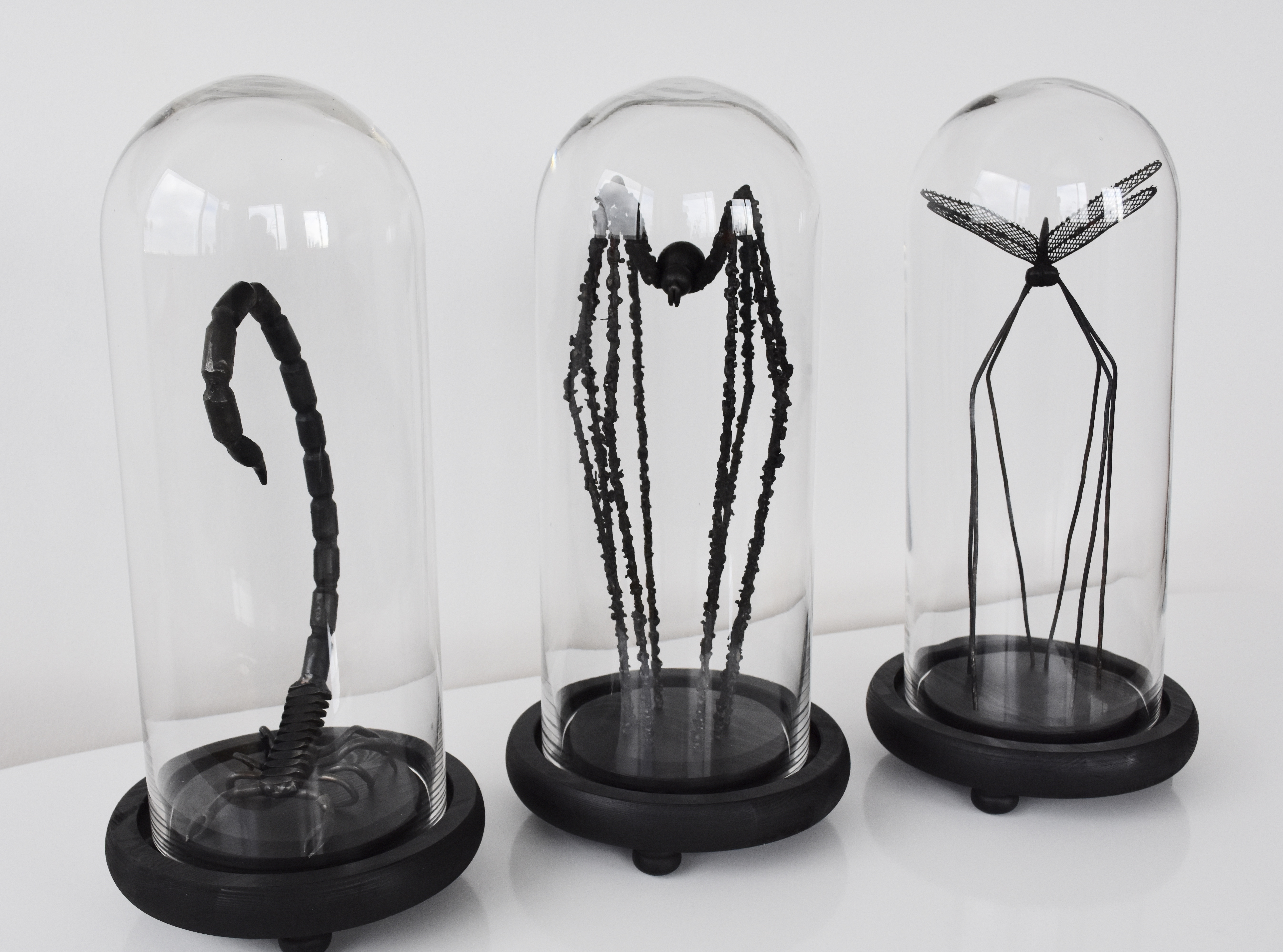 Cabinet de curiosities