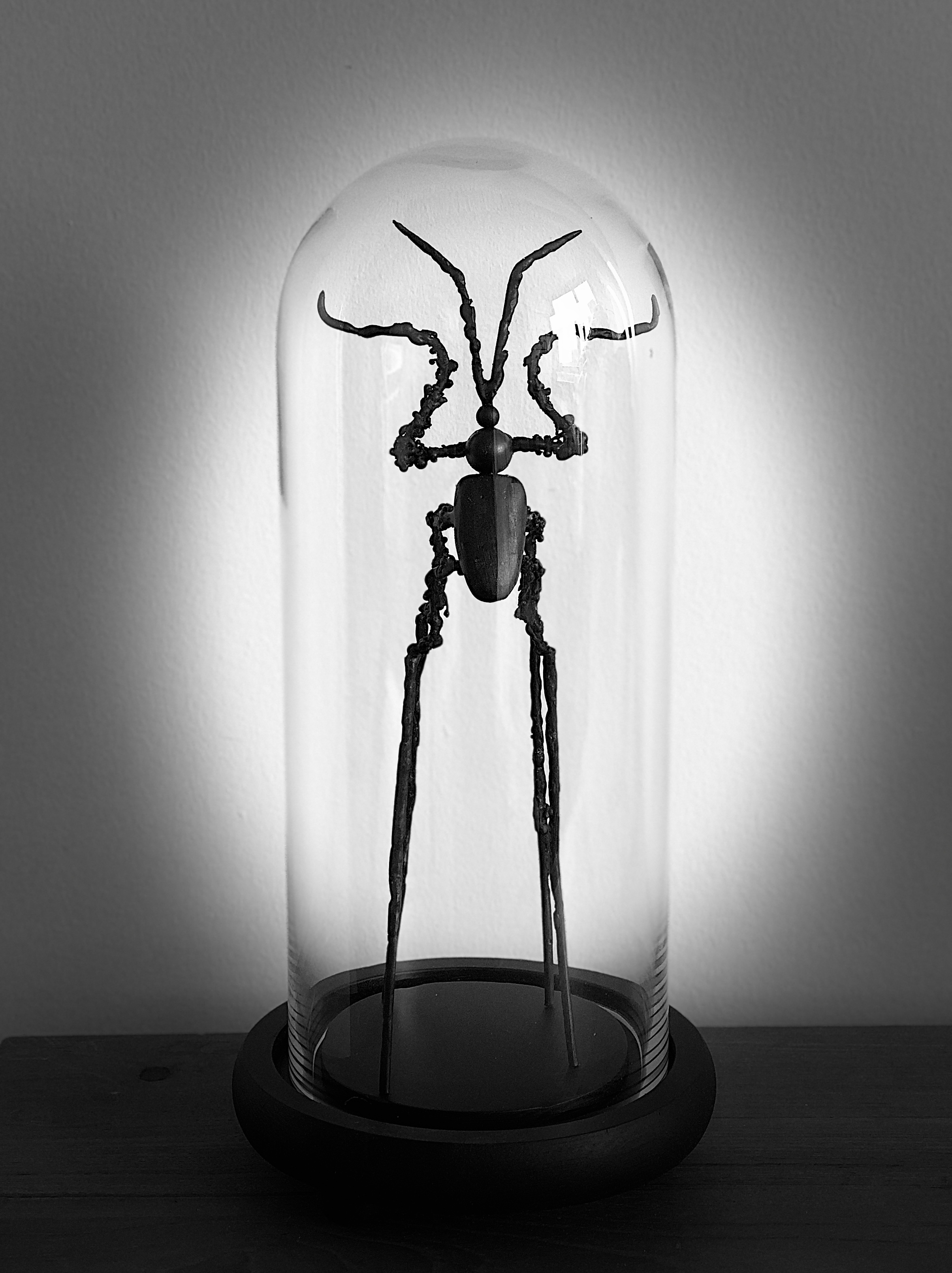 Mutant insect