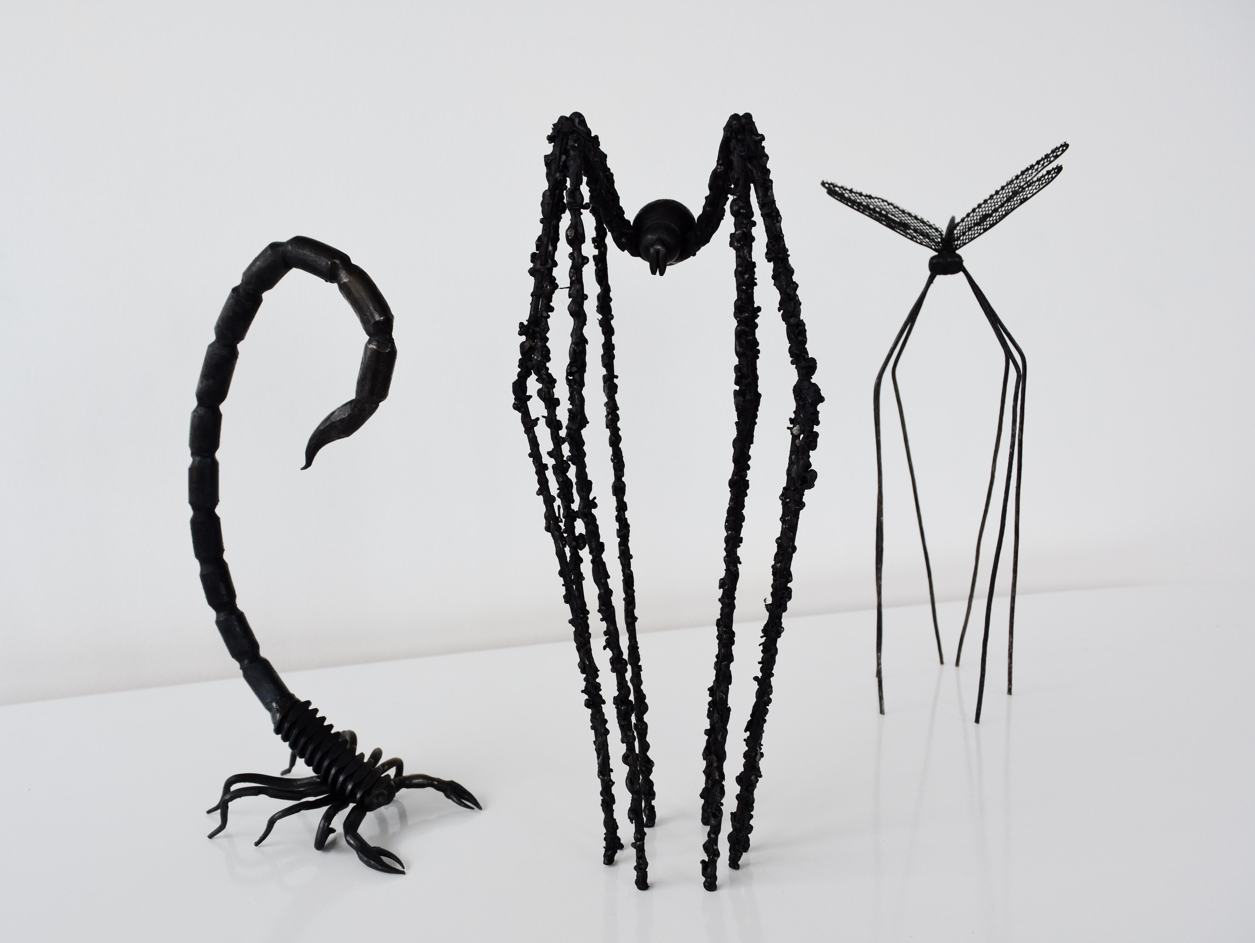 Scorpion & spider & dragonfly