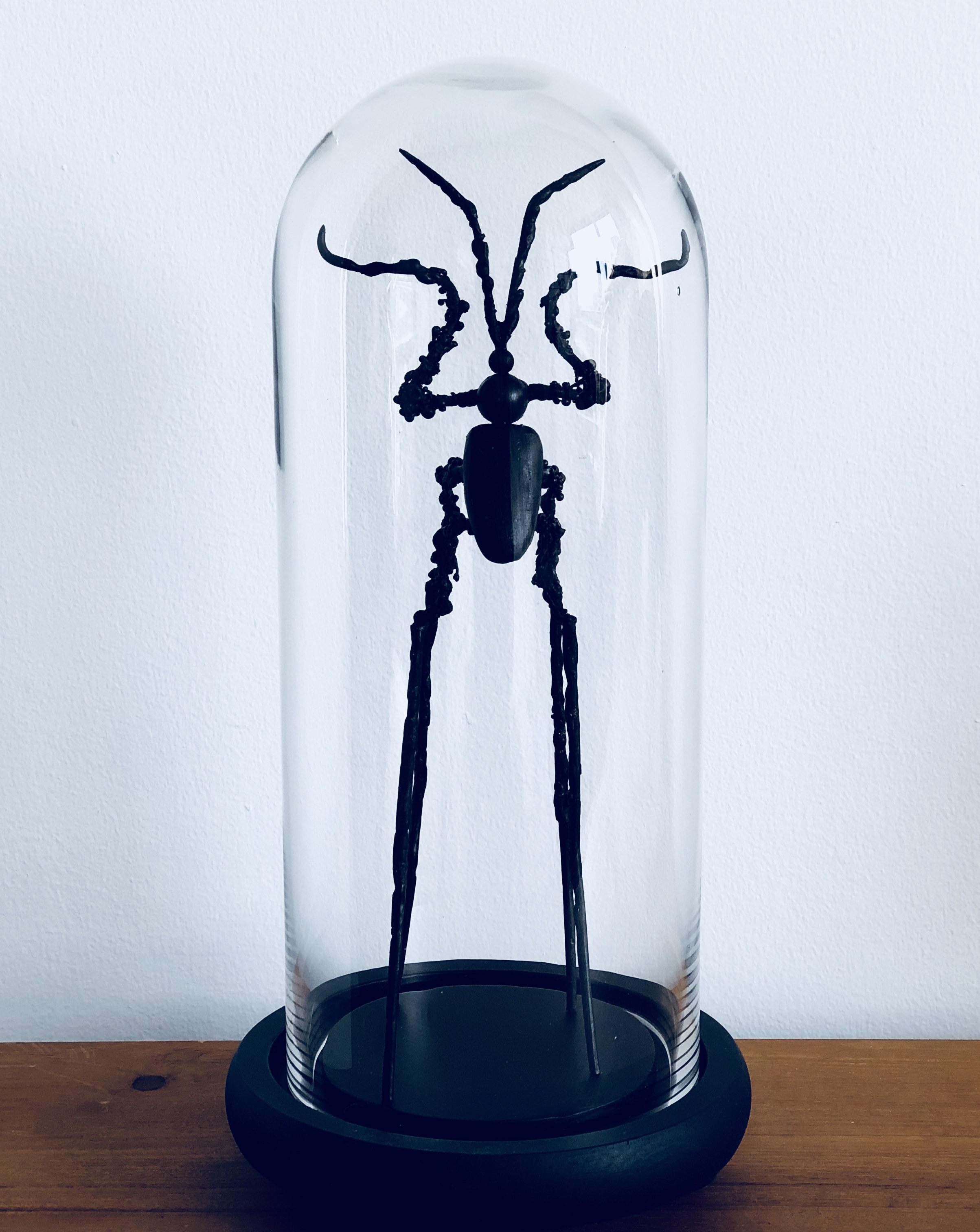 Mutant insect
