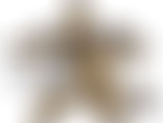 First-Ever SGHL All-Star Weekend