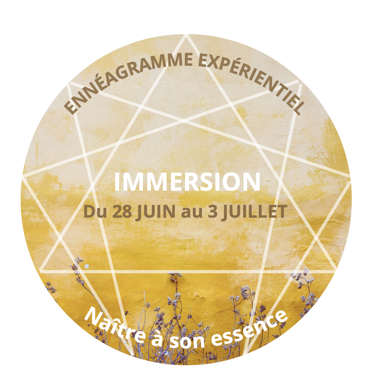 Capture d’écran 2025-11-13 à 16.11.36.png