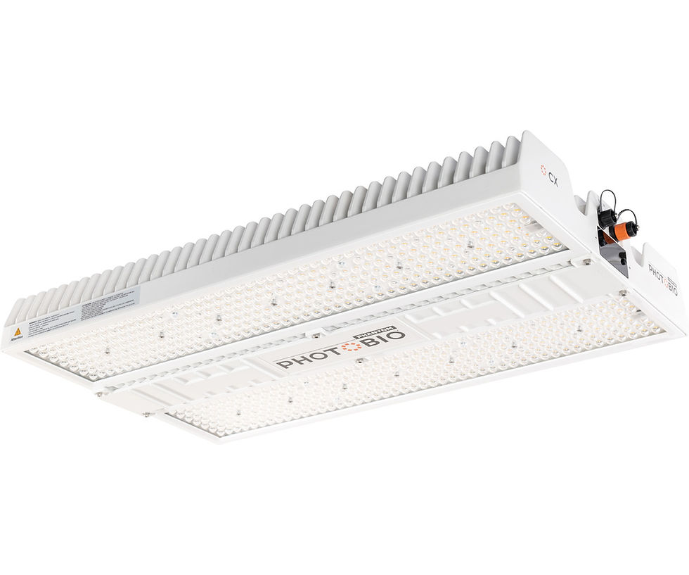 縮圖：PHOTOBIO CX 2125 LED, 850W, 100-277V S4
