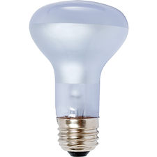 Agrosun Dayspot Incandescent Bulb, 60W