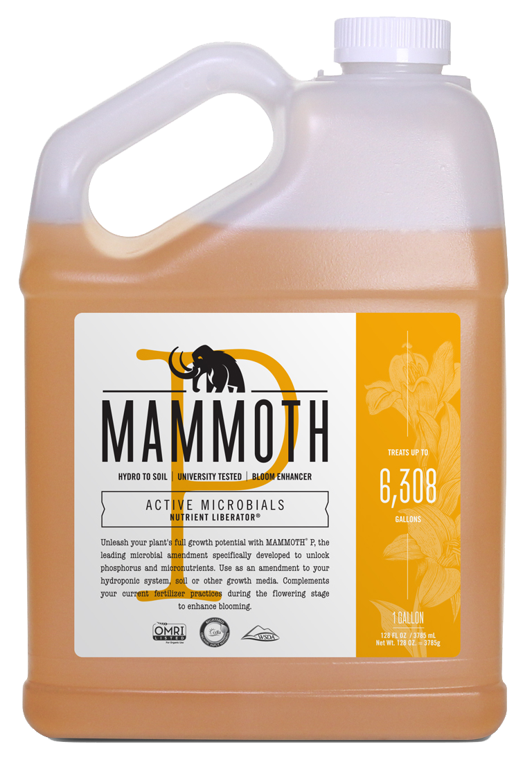 Miniatura: Microbios mamut P