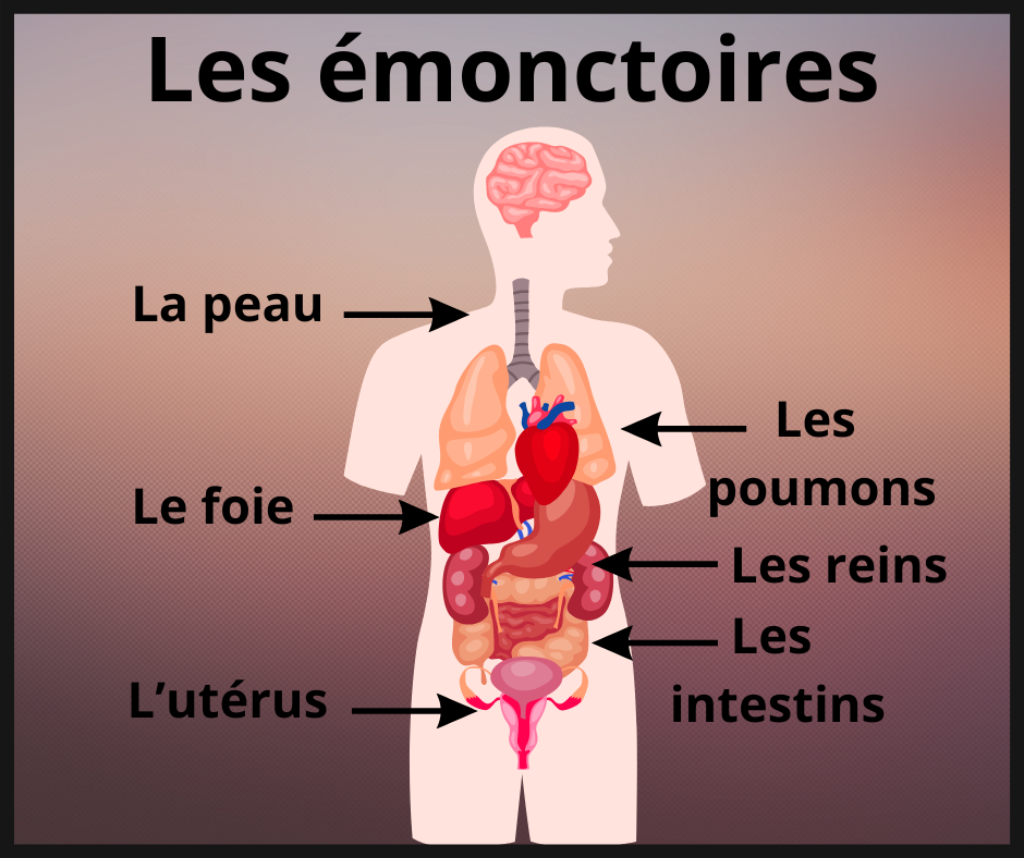 Les monctoires Fonctions Et Entretien Les monctoires Fonctions Et Entretien