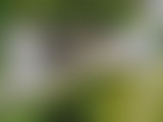 8月末出来高