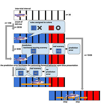 behavioral control by neural ensembles