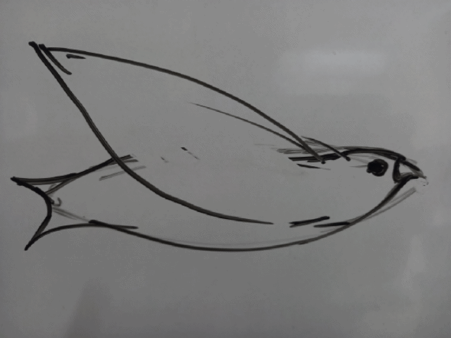 20230411_080525.gif