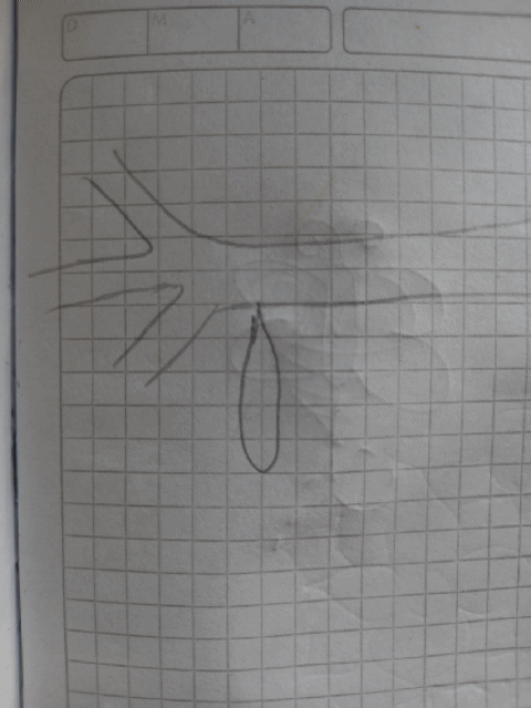 20230421_084933.gif