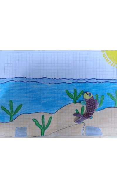 20230602_083331.gif