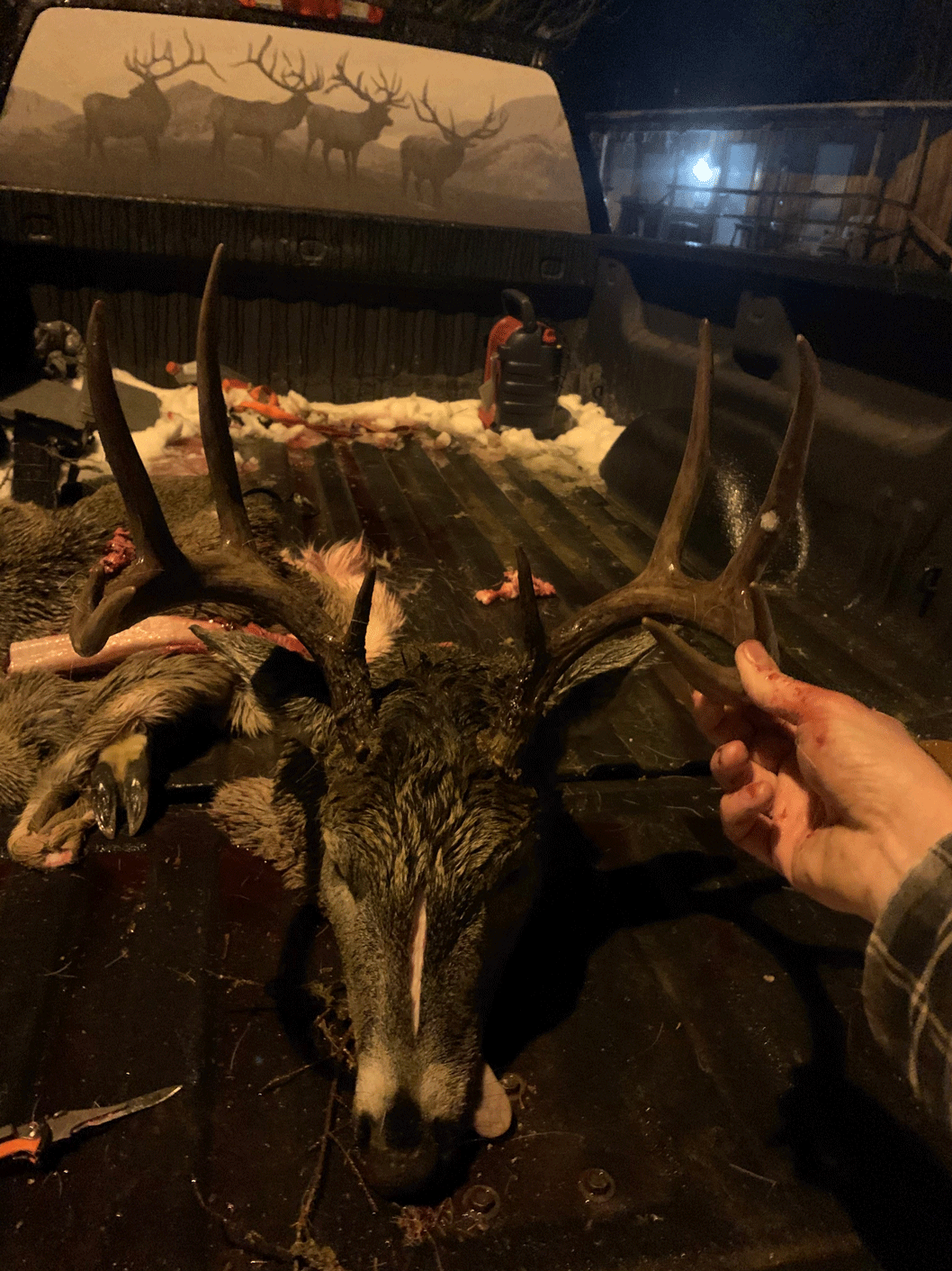 Alberta Deer Hunting