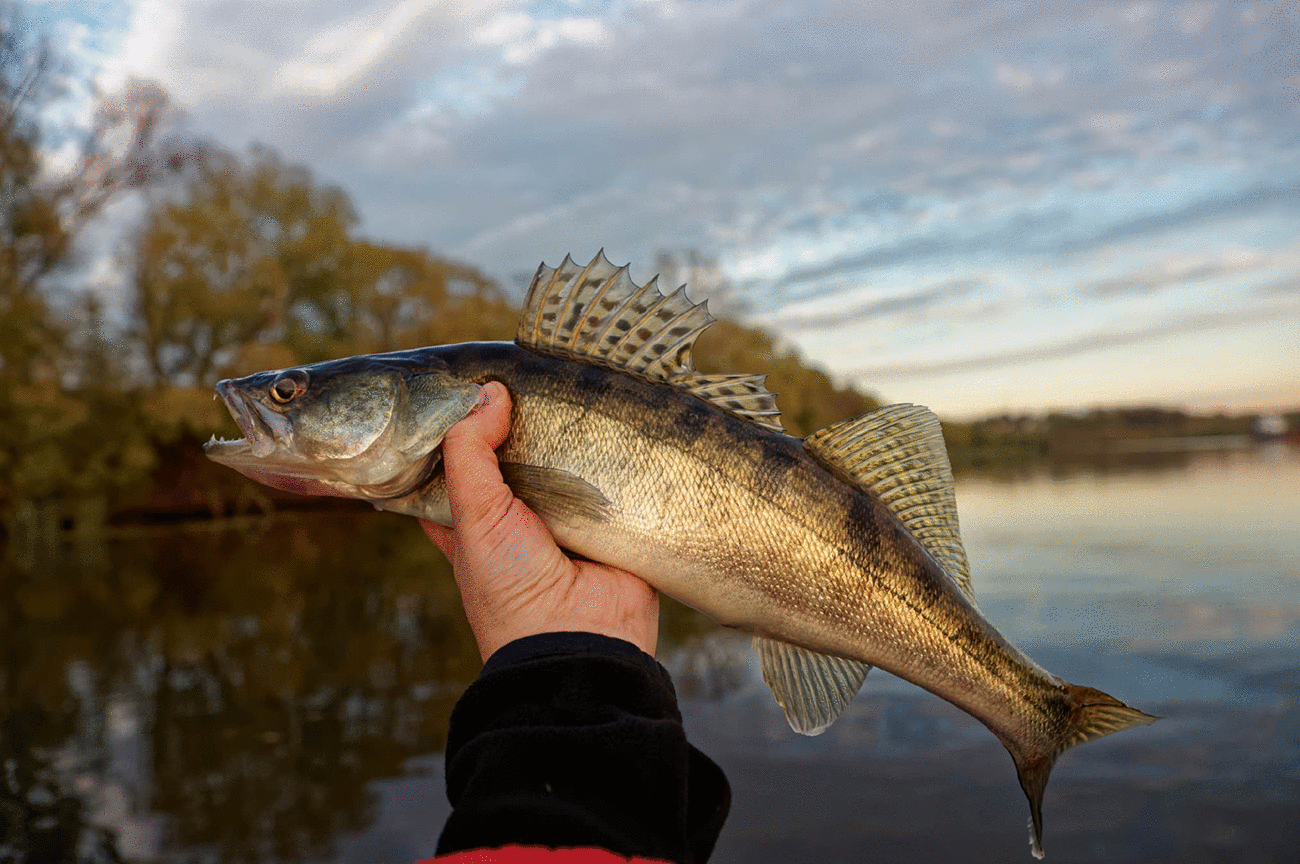 Fishing Tours Saskatchewan