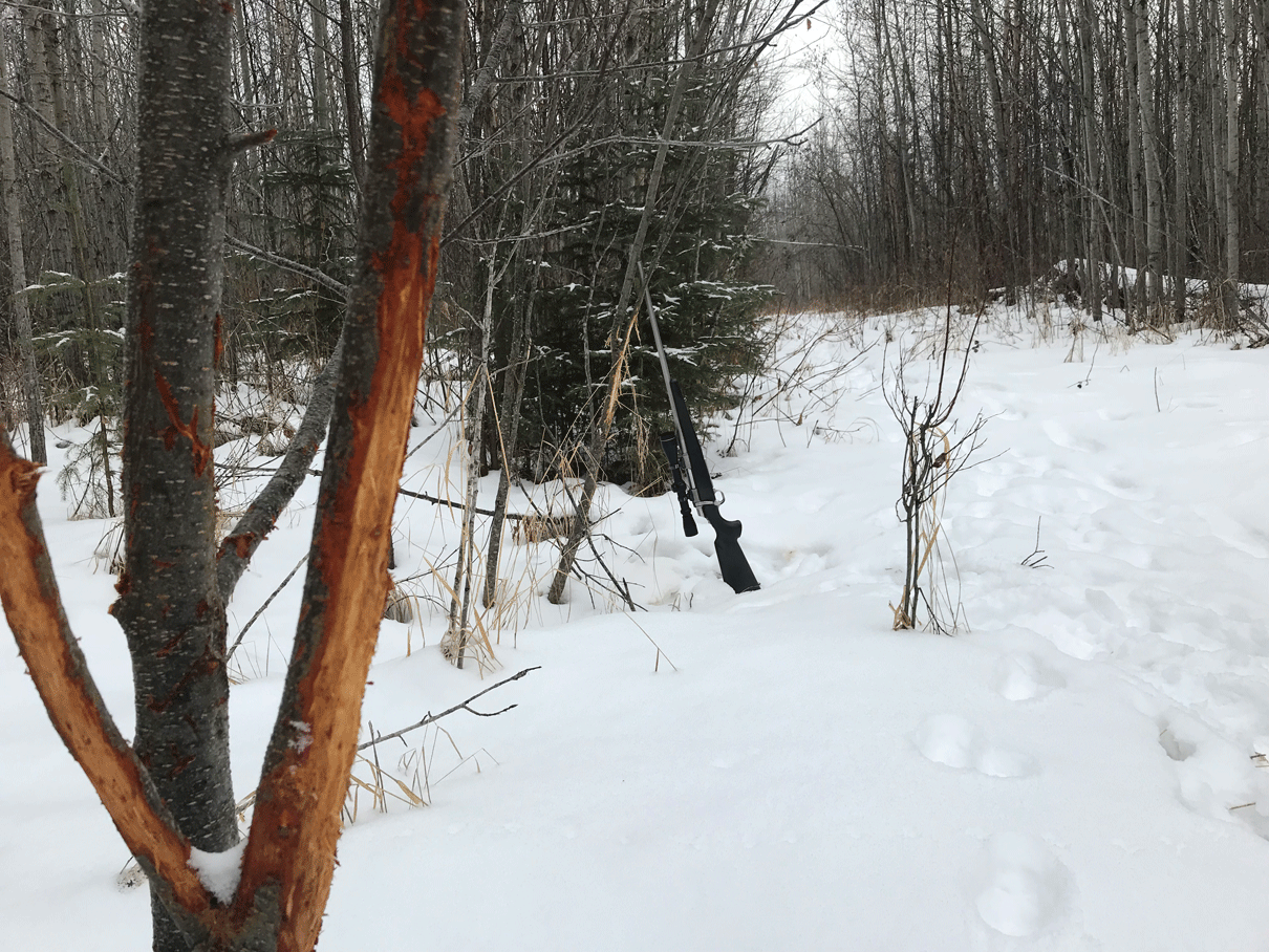 Hunting Alberta Canada