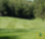 Hole 14 B.jpg