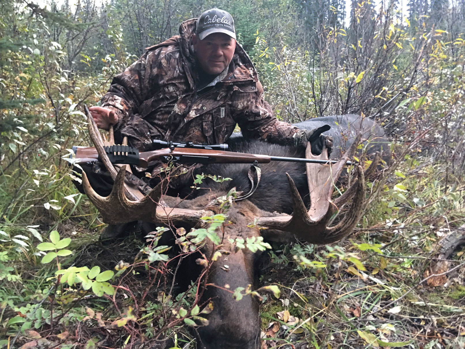 Alberta Moose Outfitters