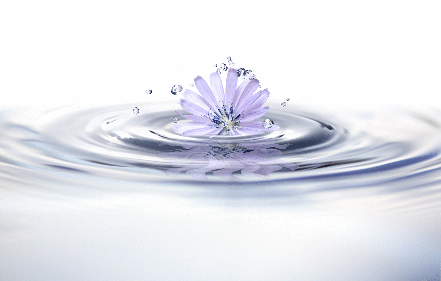 Dry Eye Treatment Saskatoon