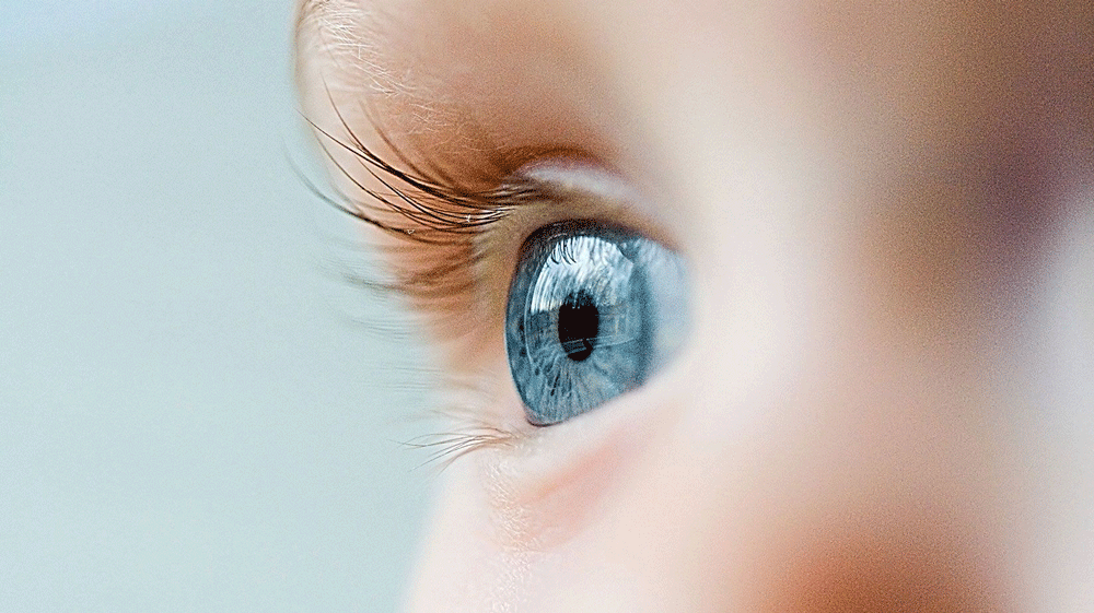 Children's Eye Exams Saskatoon