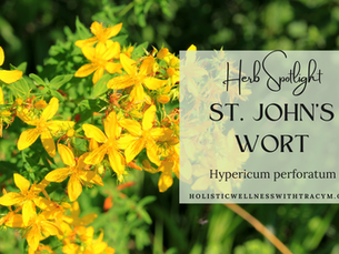 Herb Spotlight - St. John's Wort