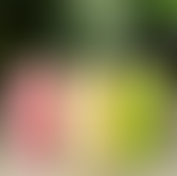 3 fruit smoothies of different colors - pink, yellow, green