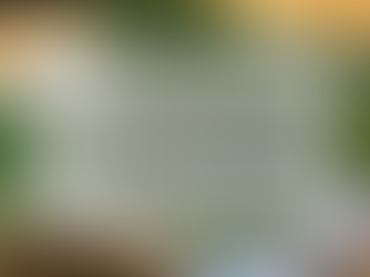 Drying Herbs From The Garden