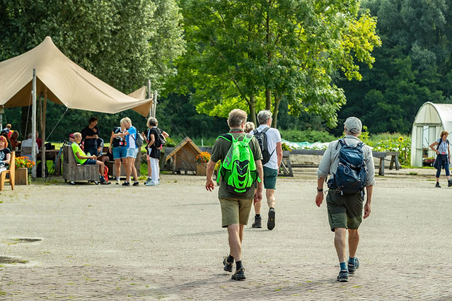 Groningse vierdaagse -211.jpg