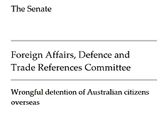 Final Senate Report 2024.png