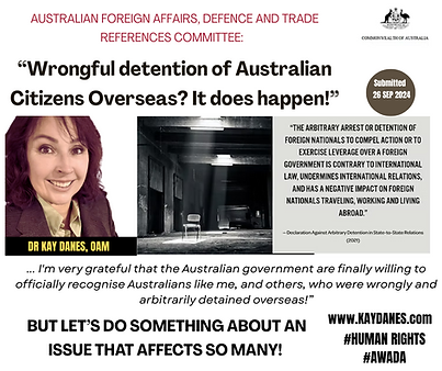 WRONGFUL DETENTION LINK FOR AUDIO.png
