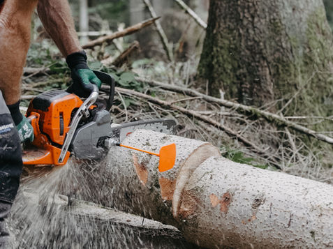 nestle_produkt_ablaengstab_kolibri