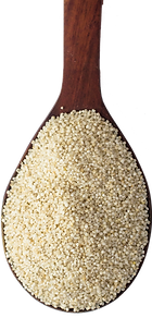 foxtail millet export