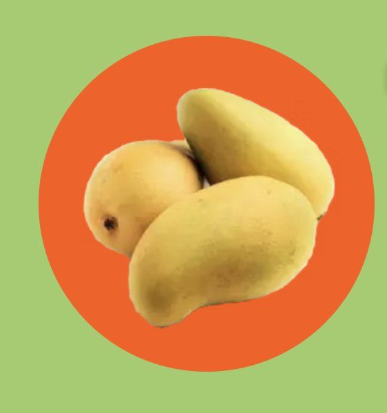 Malgova mango from India