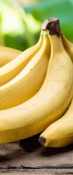 Cavendish banana from India