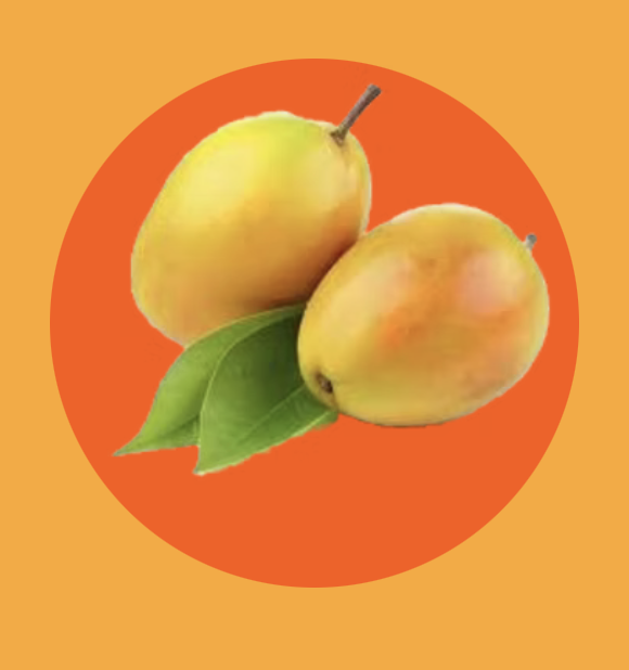 Alphonso mango from India