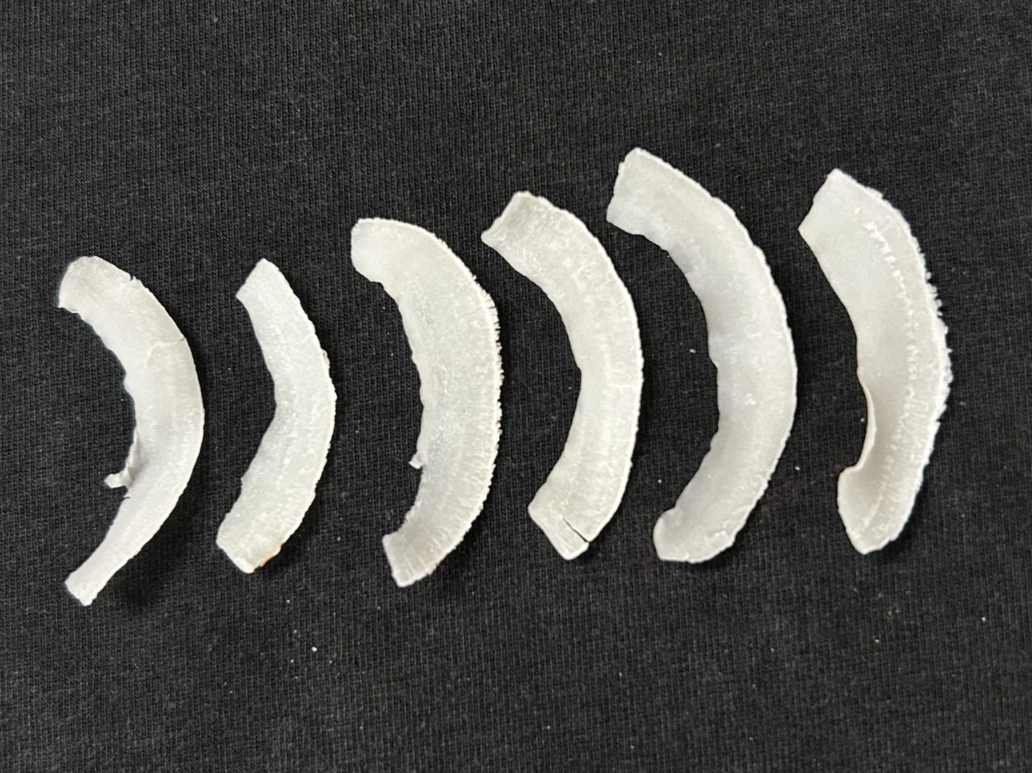 coconutchips