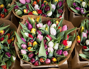 Ramo de flores