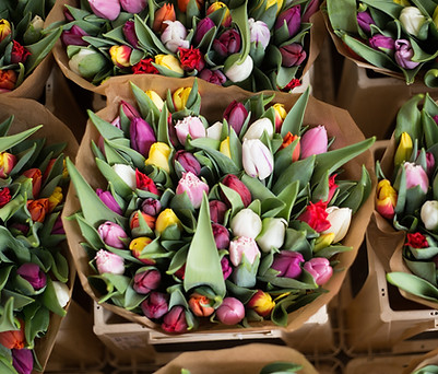 Bouquet of Flowers