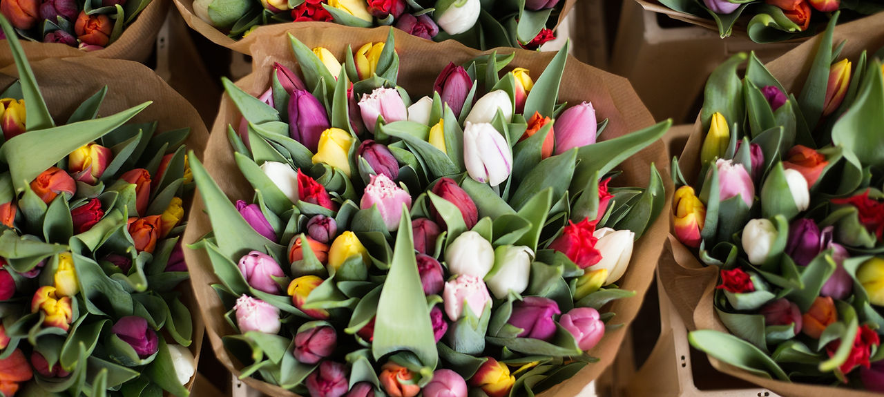 Bouquet of Flowers