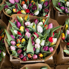 Bouquet of Flowers